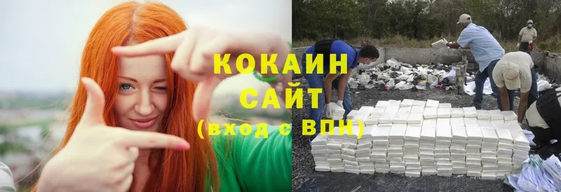 COCAIN Fish Scale  мега как войти  Закаменск  хочу  