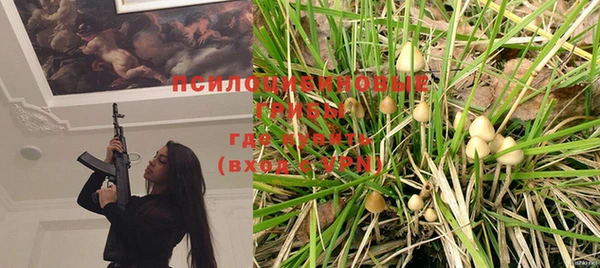 крисы Нефтекумск