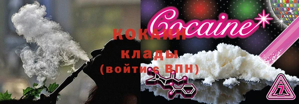 прущие грибы Аркадак