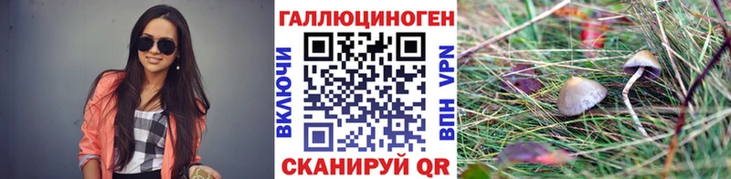 Псилоцибиновые грибы ЛСД  нарко площадка официальный сайт  Закаменск  цена наркотик 